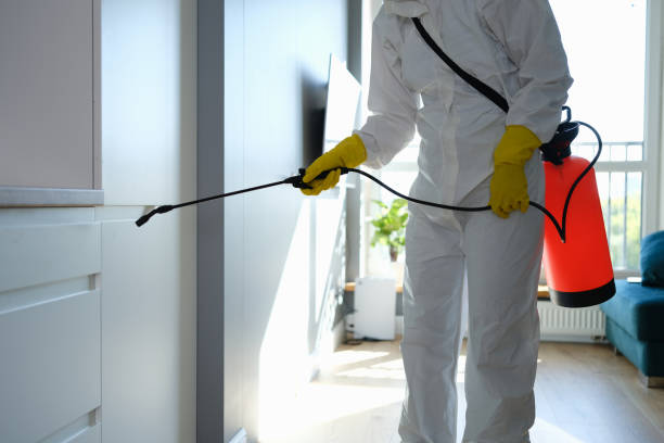 Best Mold Remediation Experts  in Vanceburg, KY