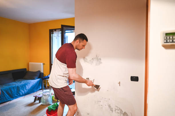 Attic Mold Removal in Vanceburg, KY